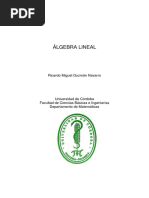 R. Guzmán - Álgebra Lineal (Notas)