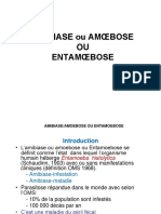 AMIBIASE 