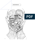 Anatomia Dibujos para Pintar y Nombrar