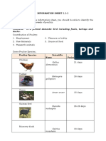 Information Sheet 1.1-1: POULTRY: Is A Farmed Domestic Bird Including Fowls, Turkeys and Ducks