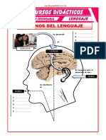 Planos Del Lenguaje para Cuarto de Secundaria