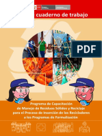 Programa de Capacitación de Manejo de RRSS PDF