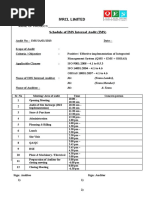 2 - Blank - Site Audit Schedule