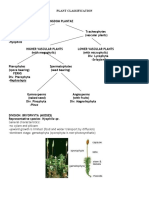 BIO 3:plant Classification