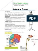 Sistema Óseo para Niños para Cuarto de Primaria