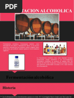 Fermentacion Alcoholica