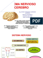 Neuroanatomia - 2020-1 PDF