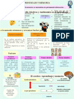 Esquema Aprendizaje y Memoria