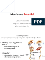 Membrane Potential