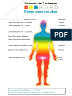 Centros Energéticos Del Cuerpo PDF