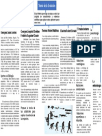 Mapa Conceptual Biologia Teoria de La Evolucion