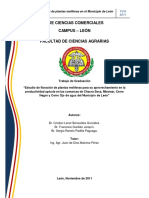 Manual Plantas PDF