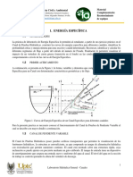 06 Lab Energía Específica