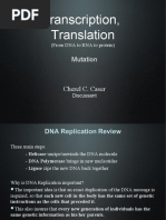 Transcription, Translation: Mutation