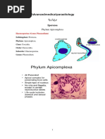 Advanced medical parasitology لما ر ح ل ة ا لر اعب ة Sporozoa