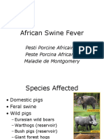 African Swine Fever