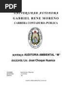 Cuestionario Aud. Ambiental PDF