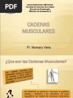 Cadenas Musculares