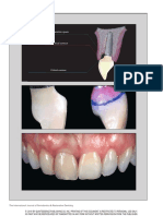 2020 Emergence Profile Guidelines PDF