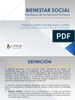 El Bienestar Social PDF