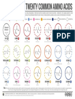 20 Common Amino Acids v2 PDF