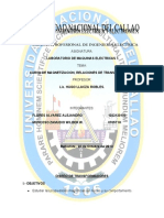 Curva de Histeresis Informe