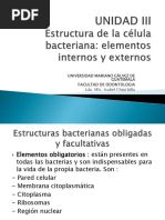 Clase No. 04. ESTRUCTURA DE LA CELULA BACTERIANA. ELEMENTOS INTERNOS Y EXTERNOS.