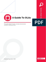 A Guide To Olas PDF