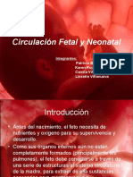 Circulación Fetal y Neonatal (Completo, Completo)