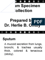 Sputum Specimen Collection