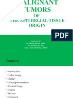 1.malignant Tumours of Epithelial Cell Origin-1