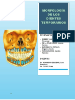 Morfologia de Los Dientes Temporarios