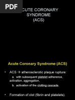 Acute Coronary Syndrome (ACS)