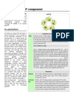 Serum Amyloid P Component: in Amyloidosis