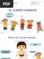 Cuerpo Humano