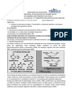 Guia Didactica de Biología de 12 #1