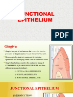 Junctional Epithelium: Presented By: Dr. Monali B.Pimple 1 Year PG Student