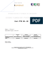 PTE 08 - 02 Strat Fundatie Piatra Sparta