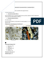 Estudio Petrográfico Macroscópico y Microscópico