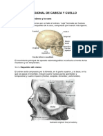 Anatomia Regional de Cabeza y Cuello 1.1 PDF