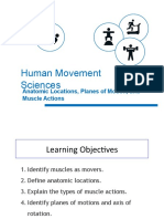 Human Movement Science