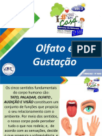 Olfato e Gustação