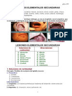 Lesiones Elem. 2