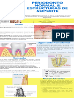 Infografia Periodonto Sano & Estructuras de Soporte