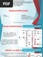 3 Fisio Bello Petterson Requena Hernandez