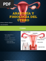 Anatomía y Fisiología Del Útero