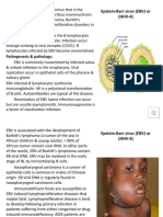 Epstein-Barr Virus (EBV) or (HHV-4) : EBV Is Ubiquitous Herpesvirus That Is The