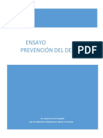 Ensayo Prevencion Del Delito