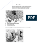 M2C The Nucleus Questions