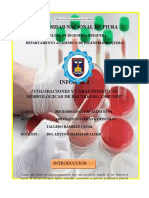 Informe de Microbiología N°02 - Coloraciones (2